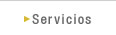 Servicios