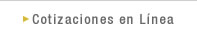 Cotizacione en Línea